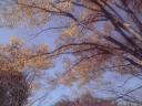th_p1000012.jpg